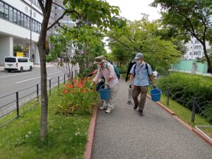 8月1日にヘメロカリスの花がら摘みと茎刈りの作業をする植物ボランティア