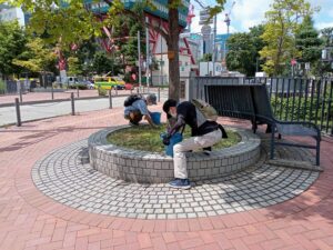 8月1日に円形ますの除草の作業をする植物ボランティア