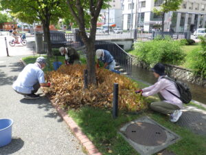 8月8日にスズランの刈り取りをするお助け隊