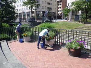 8月10日にコンテナ花壇のお手入れをする花くらぶ