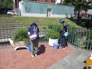 8月10日にコンテナ花壇のお手入れをする花くらぶ