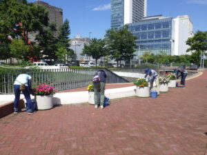 8月10日にコンテナ花壇のお手入れをする花くらぶ