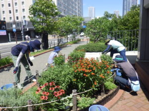 8月10日に花壇のお手入れをする花くらぶ