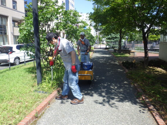 「今週の公園ボランティア」の画像