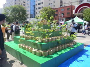 8月26日に開催された「札幌水源の森づくり」で作ったポット苗の様子