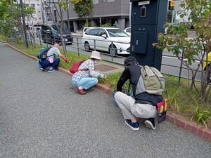 8月29日にヘメロカリス花壇の除草をする植物ボランティア