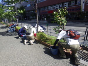 8月30日にヘメロカリス花壇の除草をするお助け隊