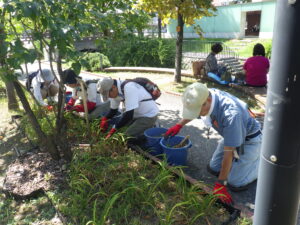 8月30日にヘメロカリス花壇の除草をするお助け隊