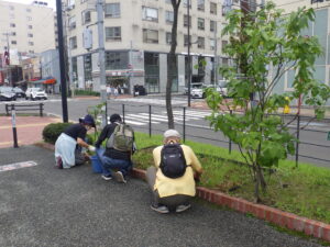 9月5日にヘメロカリスの除草をする植物ボランティア