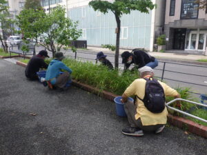 9月5日にヘメロカリスの除草をする植物ボランティア