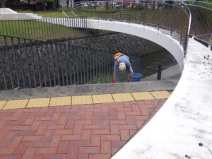 9月20日に円形ますの除草作業をするお助け隊