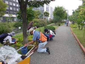 9月20日にスズラン花壇の除草作業をするお助け隊