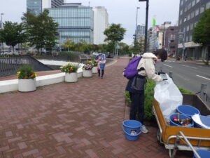 9月21日にまんなか広場のコンテナの手入れをする花くらぶ