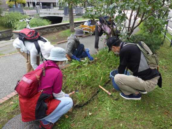 「9月後半の公園ボランティア」の画像