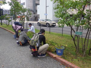 9月26日にヘメロカリス花壇の除草作業をする植物ボランティア