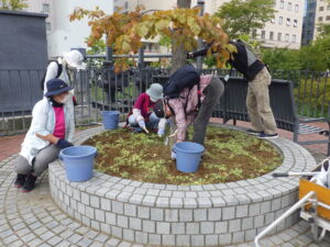 9月26日に円形ますの除草作業をする植物ボランティア