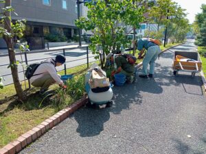 9月27日にヘメロカリス花壇の除草作業をするお助け隊