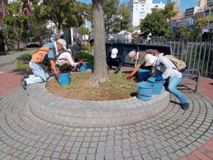 9月27日に円形ますの除草作業をするお助け隊