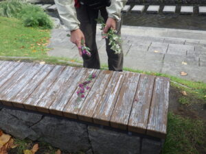 10月3日の植物ボランティアで指導の笠先生からハギの説明を受ける様子