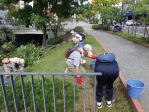 10月4日に芝生のブタナとタンポポの除草をするお助け隊と企業ボランティアさん