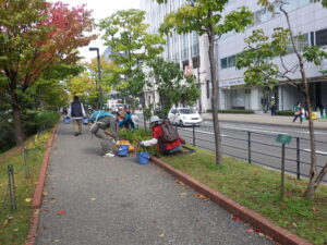 10月10日にヘメロカリスの刈り込み作業をする植物ボランティア