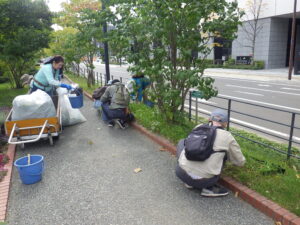 10月10日にヘメロカリスの刈り込み作業をする植物ボランティア