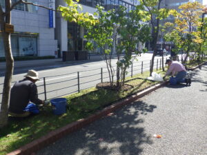 10月13日に今年度最後の作業をする除草ボランティア