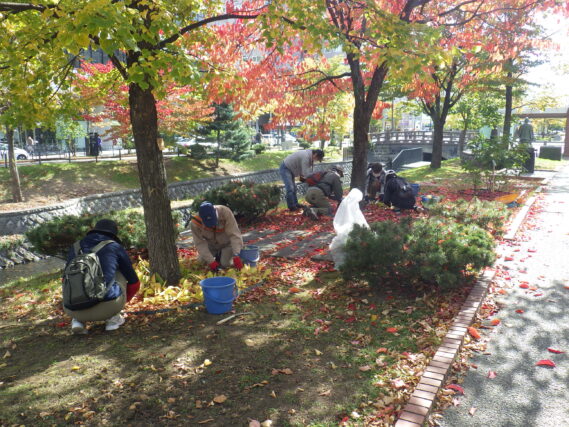 「先週今週の公園ボランティア」の画像