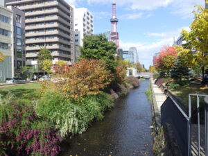 ハギの刈り取り前の南2条の様子