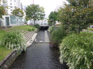 9月29日の南3条のハギの様子