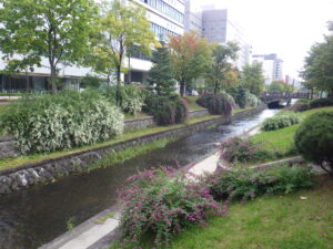 10月1日の南1条のハギの様子