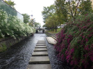 10月1日の南4条のハギの様子