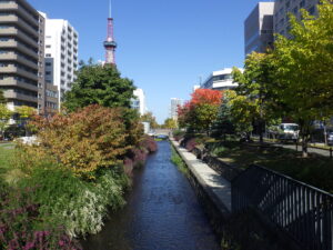 10月13日の南2条のハギと紅葉の様子