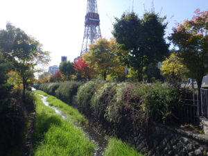 10月13日の北1条のハギと紅葉の様子
