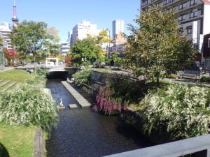 10月13日の南3条のハギの様子