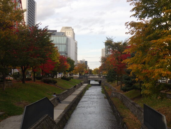 「ハギの刈り取りが終わった園内」の画像