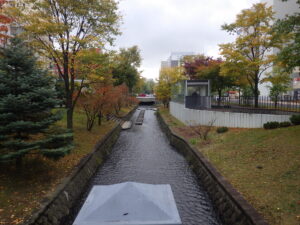 10月19日のハギ刈り取り後の南4条の様子