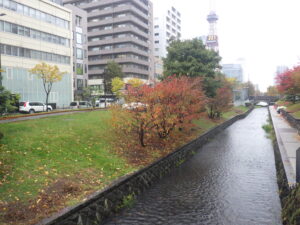 10月20日のハギ刈り取り後の南2条の様子