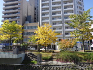 10月13日の南2条の紅葉の様子