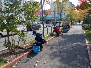 10月24日にヘメロカリス花壇の除草をする植物ボランティア