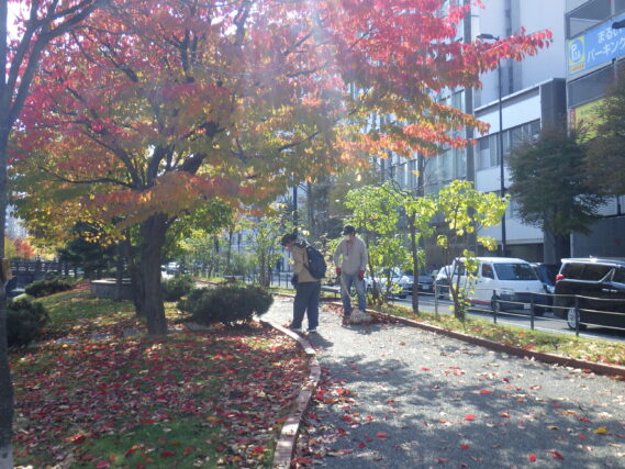 「公園ボランティアの外作業終了」の画像