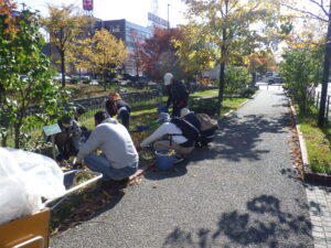 10月25日にスズランの刈取りをするお助け隊