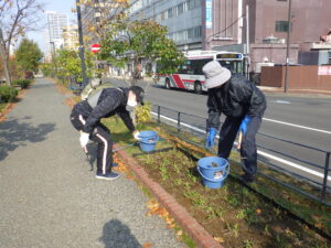 10月31日にヘメロカリス花壇の除草をする植物ボランティア