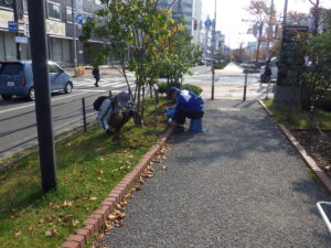 10月31日にヘメロカリス花壇の除草をする植物ボランティア