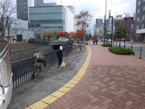 11月1日に落ち葉清掃をするお助け隊