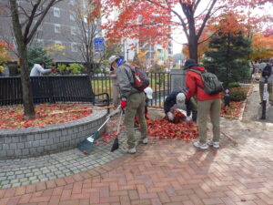 11月1日に落ち葉清掃をするお助け隊