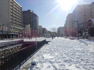 11月25日の狸二条広場の様子