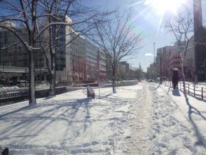 11月25日の大通ブロックの様子