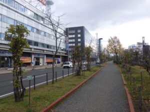 冬囲いされたライラック