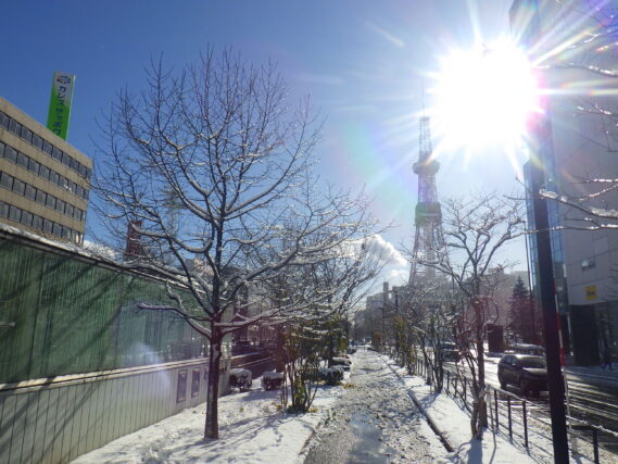 「公園にも雪が降り積もりました」の画像